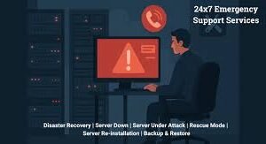 Assistance serveur d'urgence facturée à l'heure